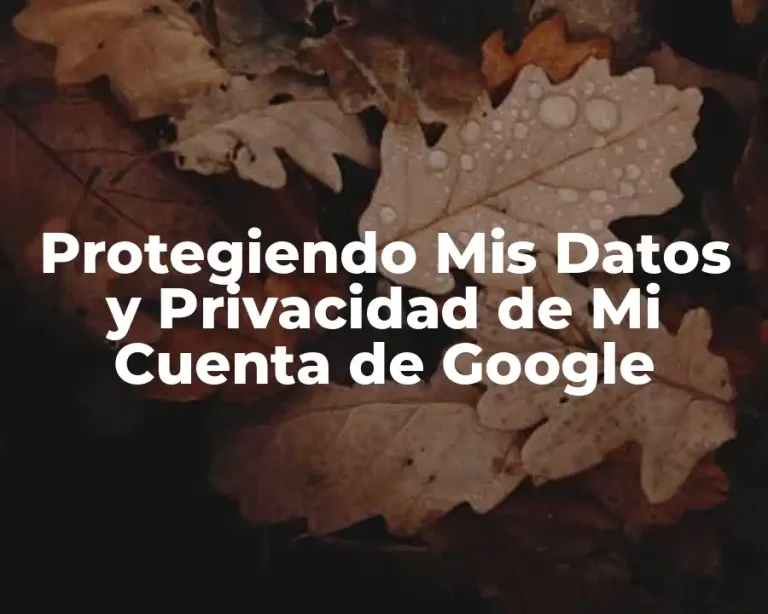 Protegiendo Mis Datos y Privacidad de Mi Cuenta de Google