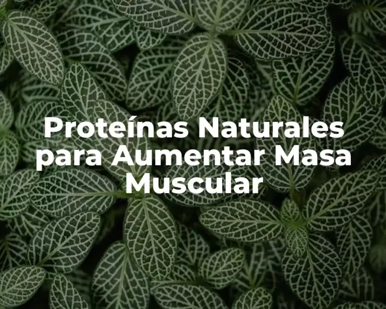 Proteínas Naturales para Aumentar Masa Muscular