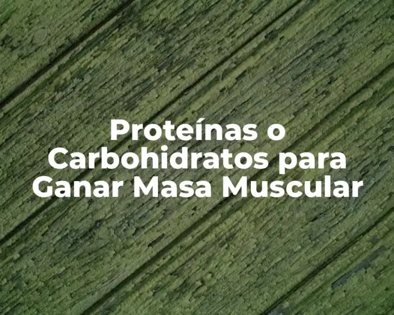 Proteínas o Carbohidratos para Ganar Masa Muscular