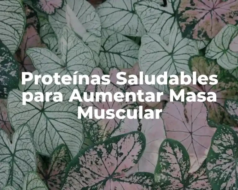 Proteínas Saludables para Aumentar Masa Muscular