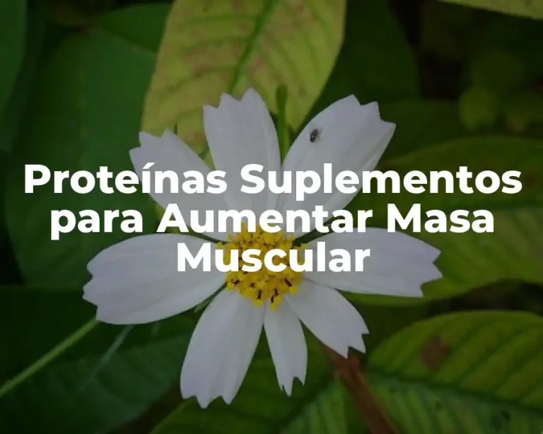 Proteínas Suplementos para Aumentar Masa Muscular