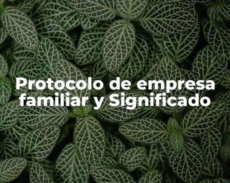 Protocolo de empresa familiar y Significado