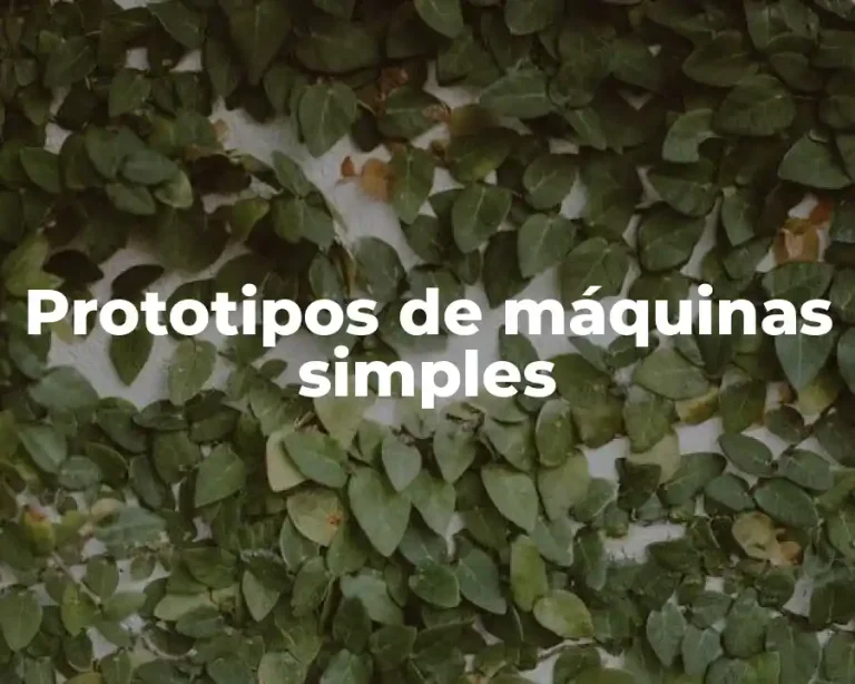 Prototipos de máquinas simples