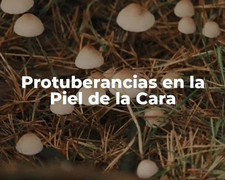 Protuberancias en la Piel de la Cara