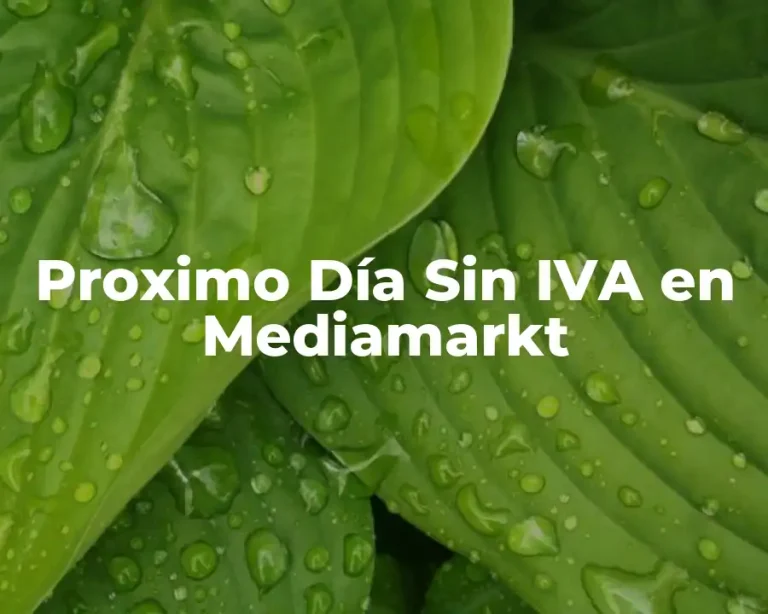 Proximo Día Sin IVA en Mediamarkt