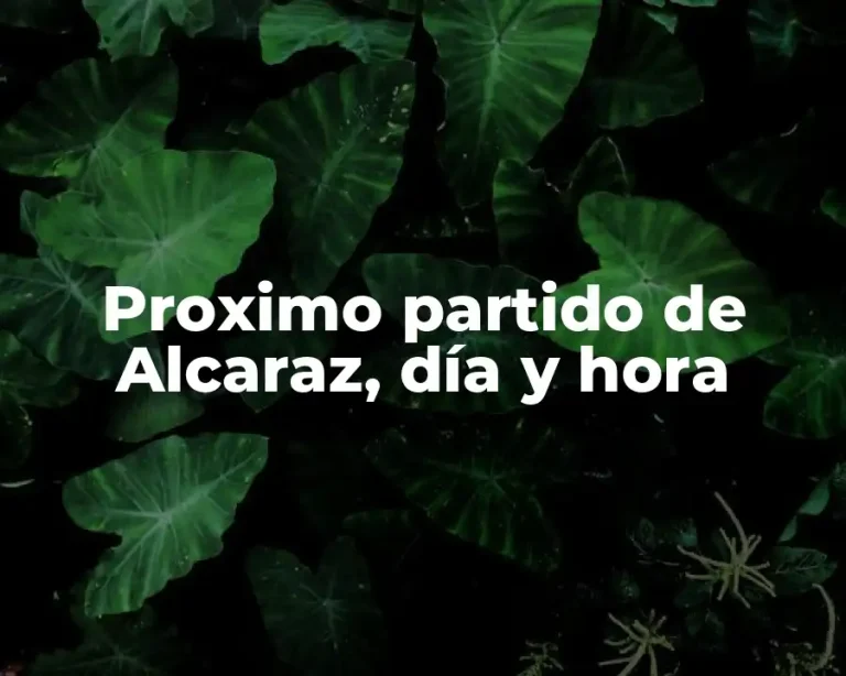 Proximo partido de Alcaraz, día y hora