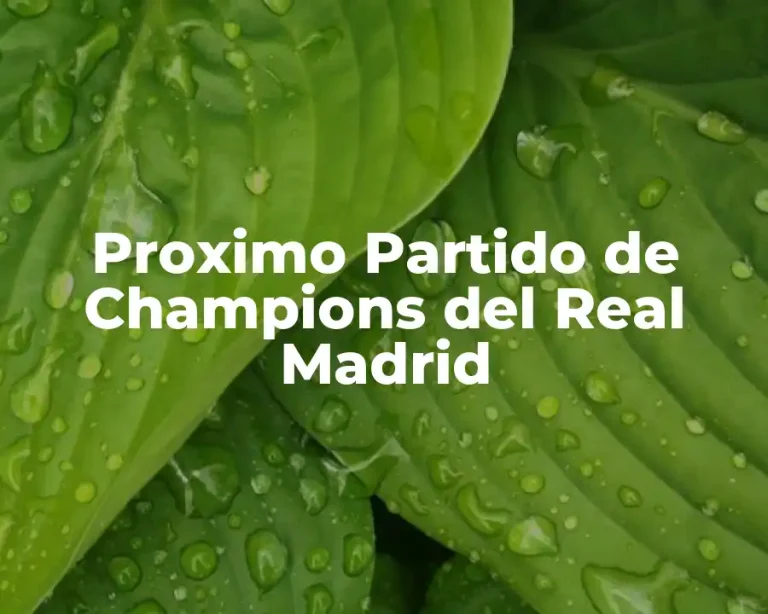 Proximo Partido de Champions del Real Madrid