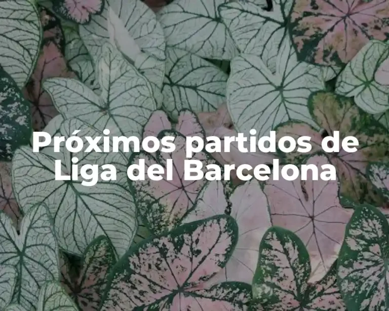 Próximos partidos de Liga del Barcelona