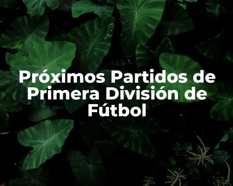 Próximos Partidos de Primera División de Fútbol