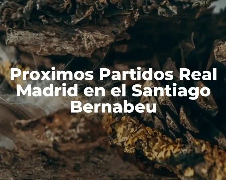 Proximos Partidos Real Madrid en el Santiago Bernabeu