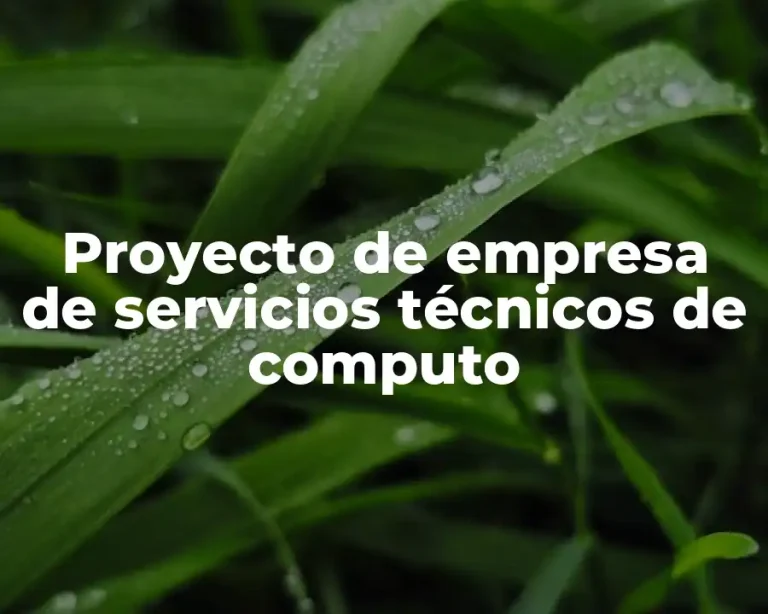 Proyecto de empresa de servicios técnicos de computo