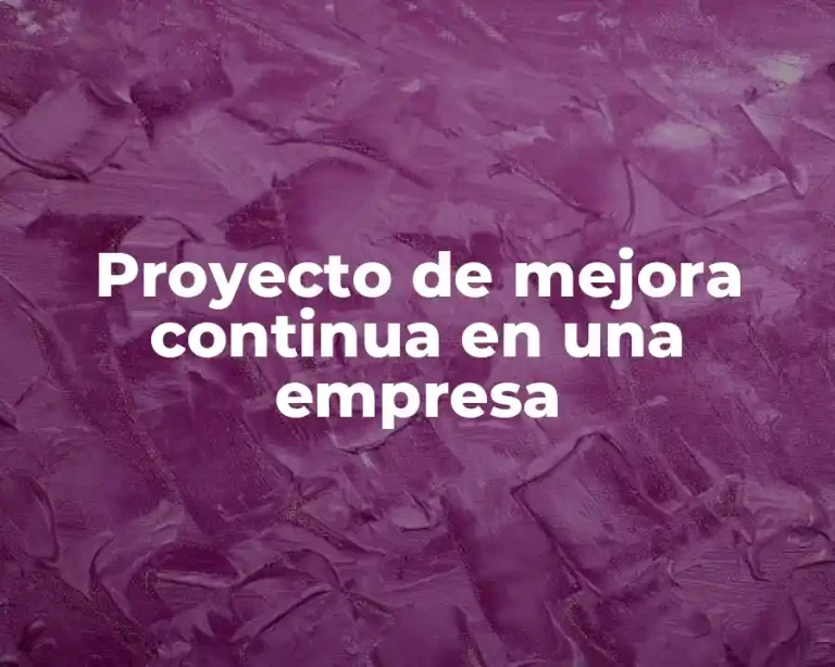 Proyecto de mejora continua en una empresa