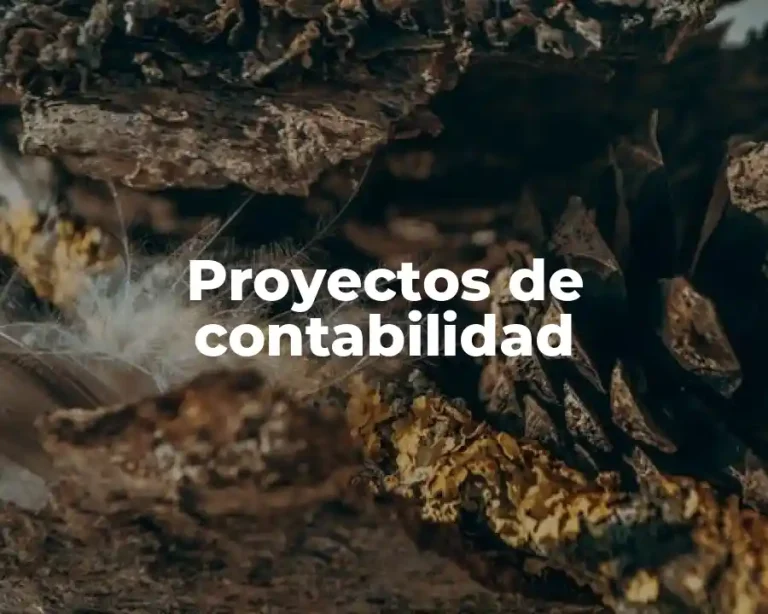 Proyectos de contabilidad