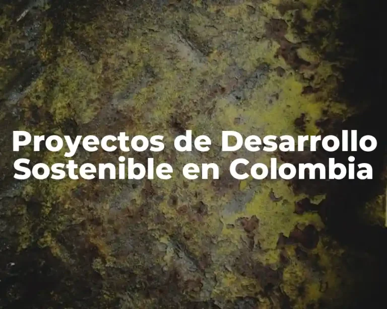 Proyectos de Desarrollo Sostenible en Colombia