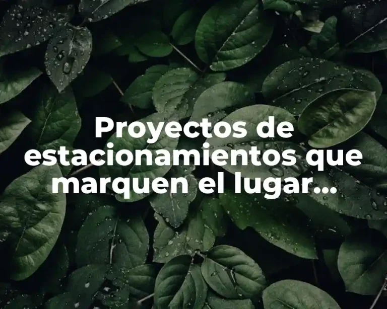 Proyectos de estacionamientos que marquen el lugar disponible