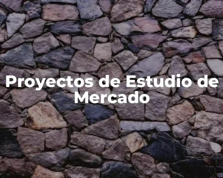 Proyectos de Estudio de Mercado