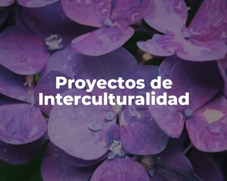 Proyectos de Interculturalidad