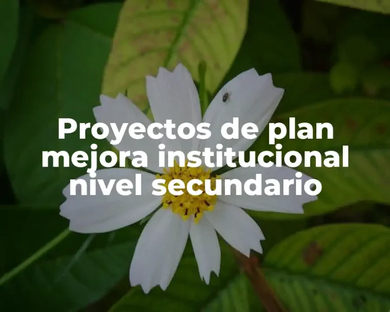 Proyectos de plan mejora institucional nivel secundario