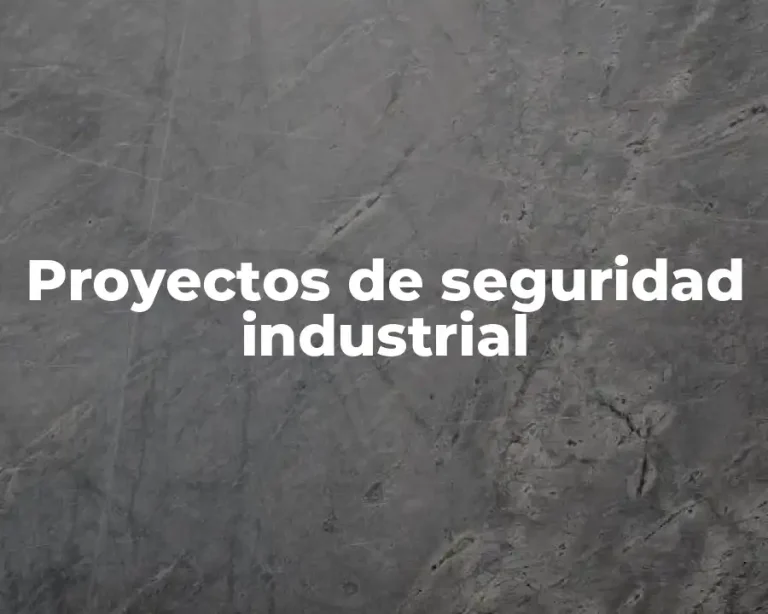 Proyectos de seguridad industrial