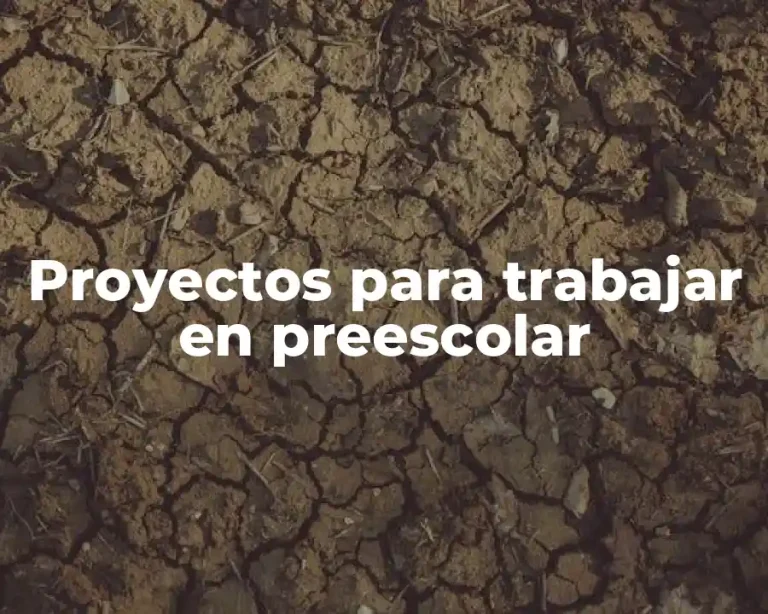 Proyectos para trabajar en preescolar