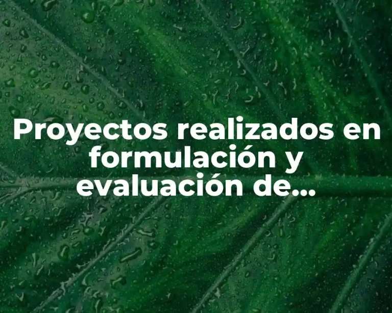 Proyectos realizados en formulación y evaluación de proyectos