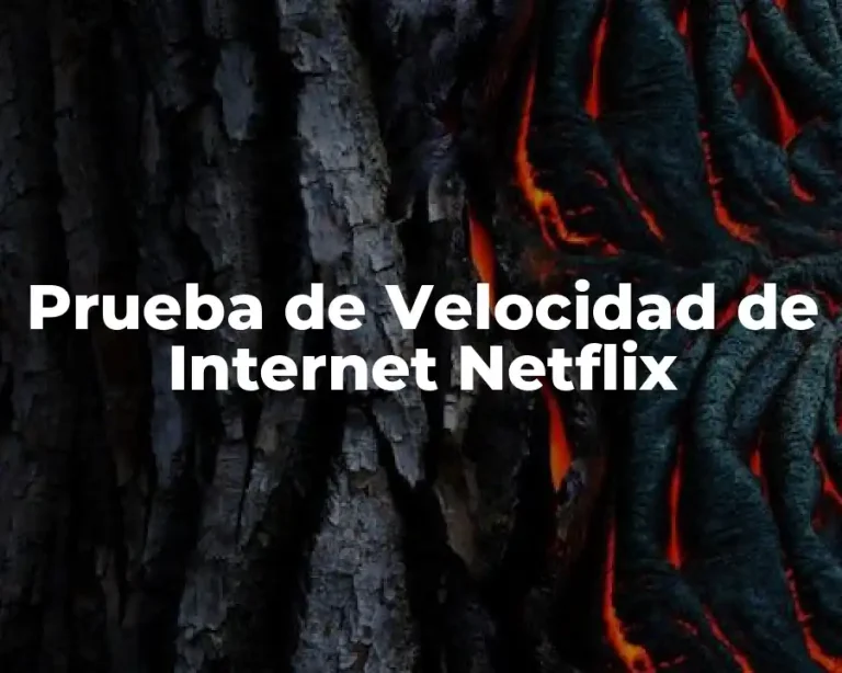 Prueba de Velocidad de Internet Netflix
