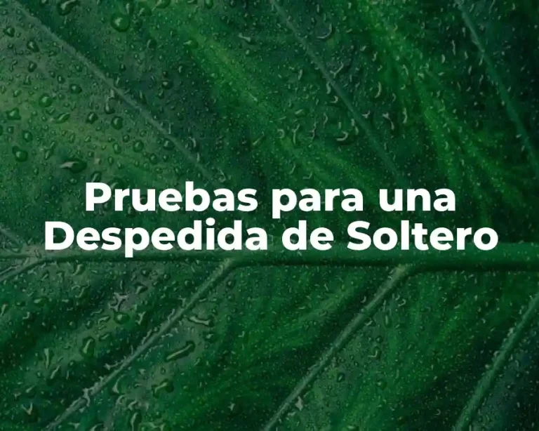 Pruebas para una Despedida de Soltero