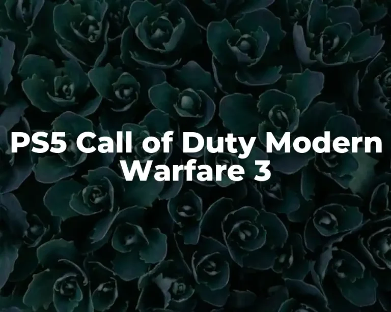 PS5 Call of Duty Modern Warfare 3