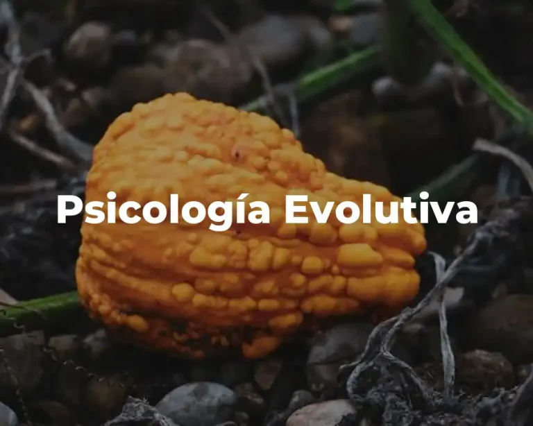 Psicología Evolutiva