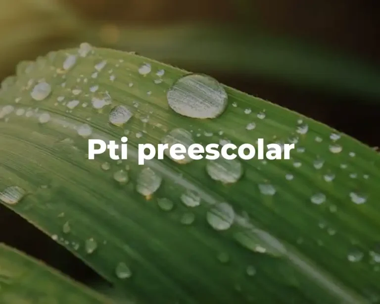 Pti preescolar