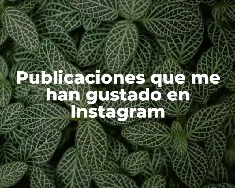 Publicaciones que me han gustado en Instagram