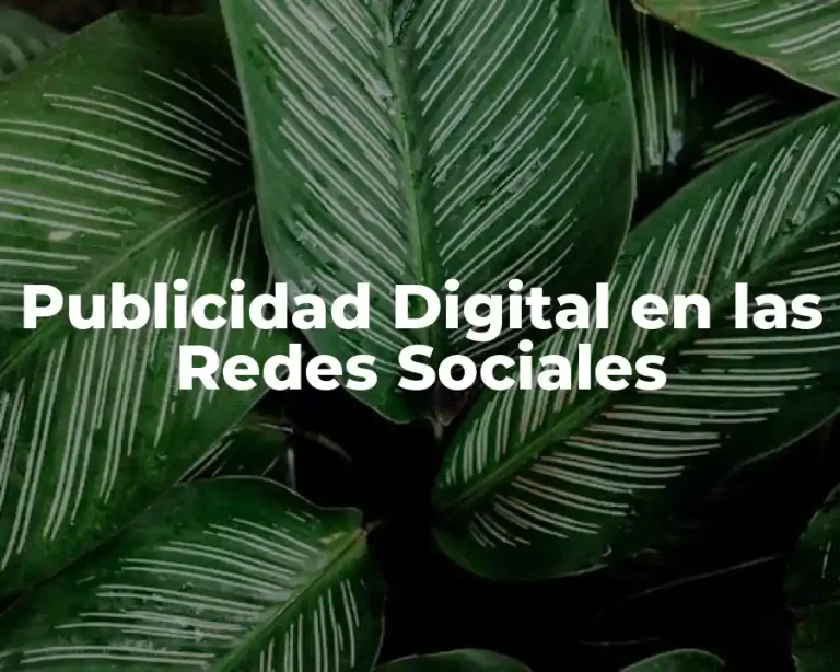 Publicidad Digital en las Redes Sociales