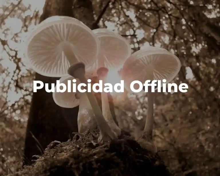 Publicidad Offline