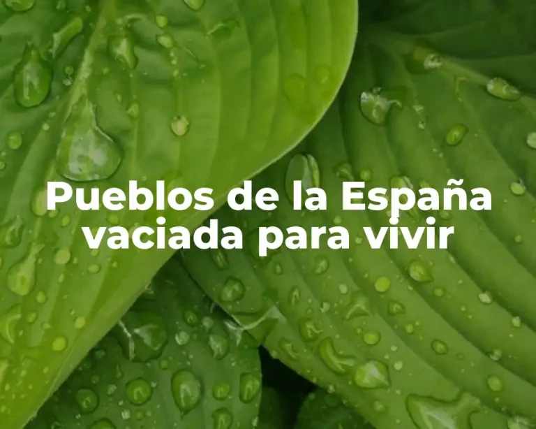 Pueblos de la España vaciada para vivir