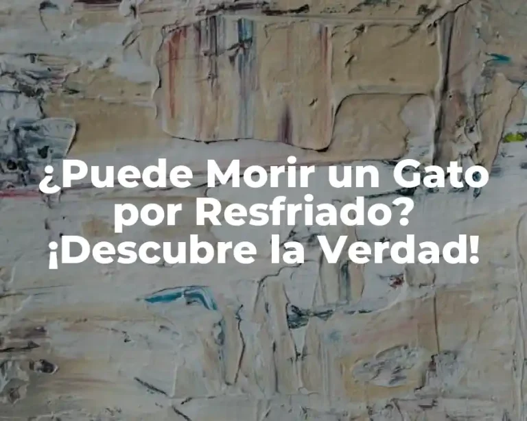 ¿Puede Morir un Gato por Resfriado? ¡Descubre la Verdad!