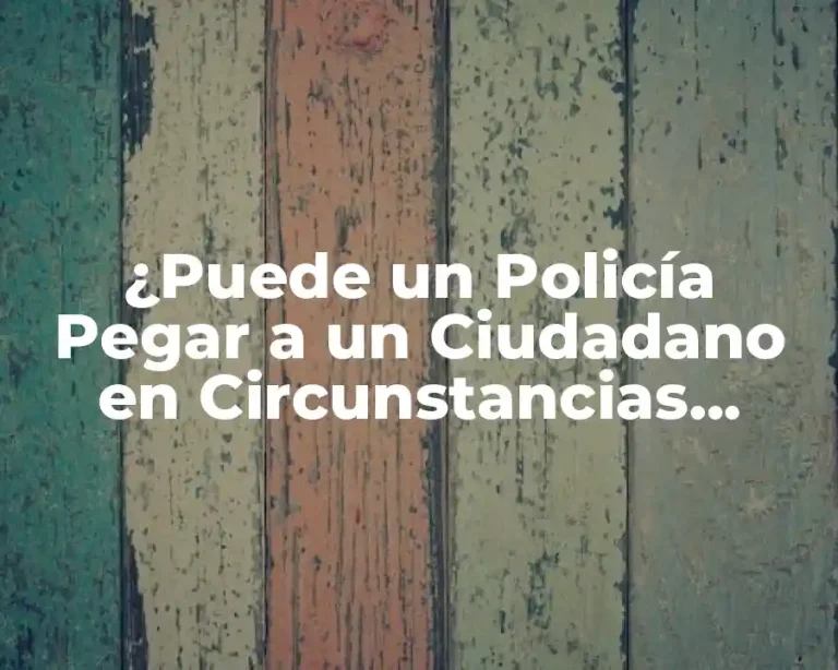¿Puede un Policía Pegar a un Ciudadano en Circunstancias Normales?