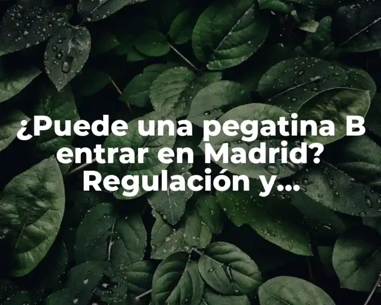¿Puede una pegatina B entrar en Madrid? Regulación y restricciones