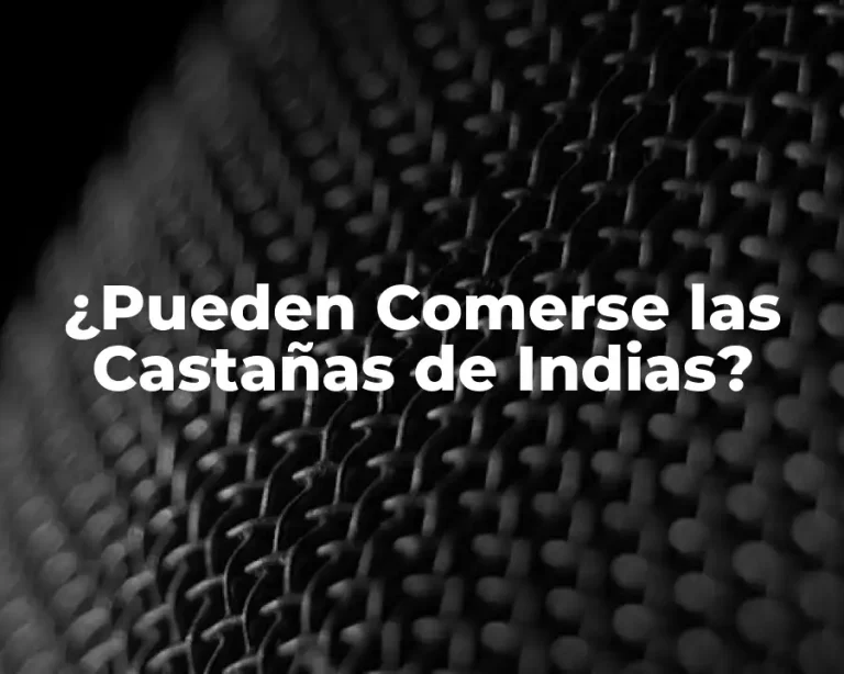 ¿Pueden Comerse las Castañas de Indias?