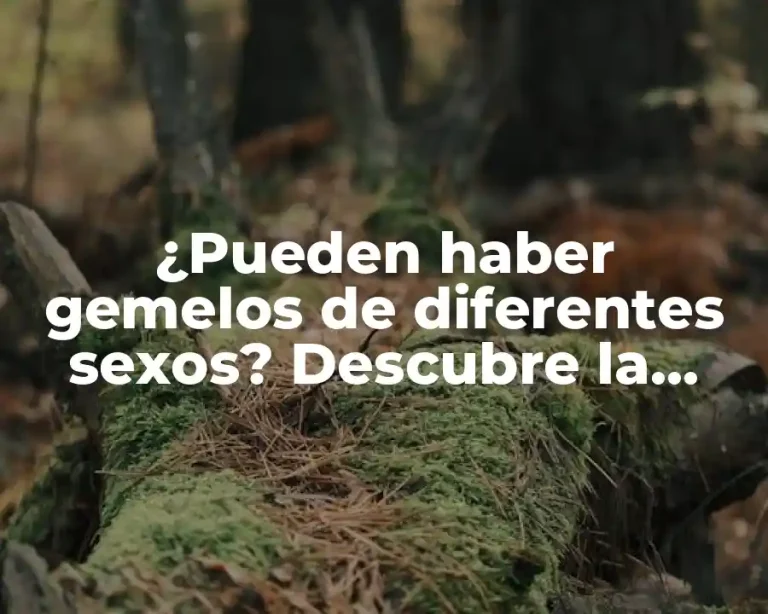 ¿Pueden haber gemelos de diferentes sexos? Descubre la respuesta