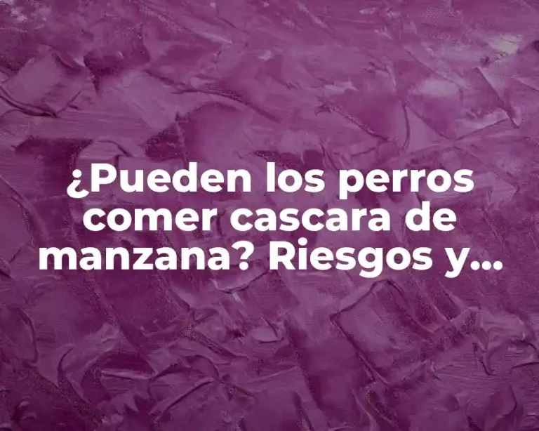 ¿Pueden los perros comer cascara de manzana? Riesgos y beneficios