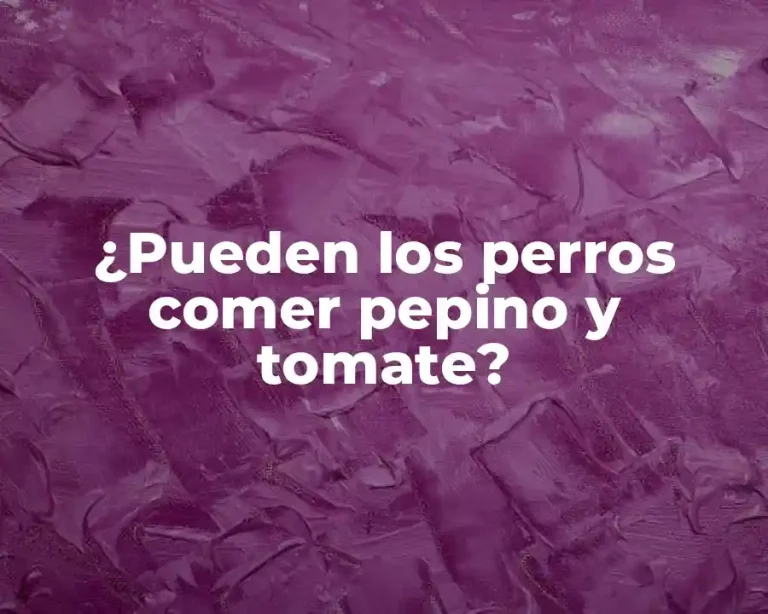 ¿Pueden los perros comer pepino y tomate?