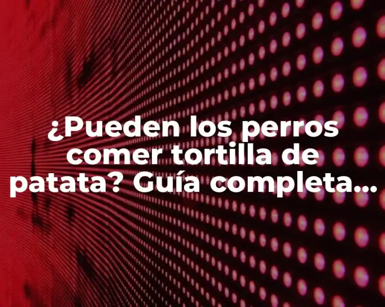 ¿Pueden los perros comer tortilla de patata? Guía completa para dueños de perros