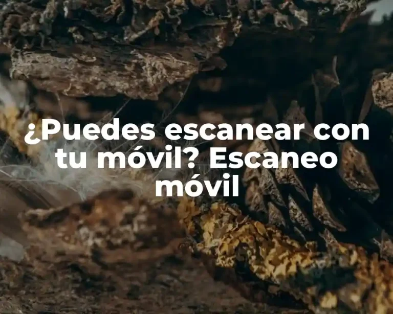 ¿Puedes escanear con tu móvil? Escaneo móvil