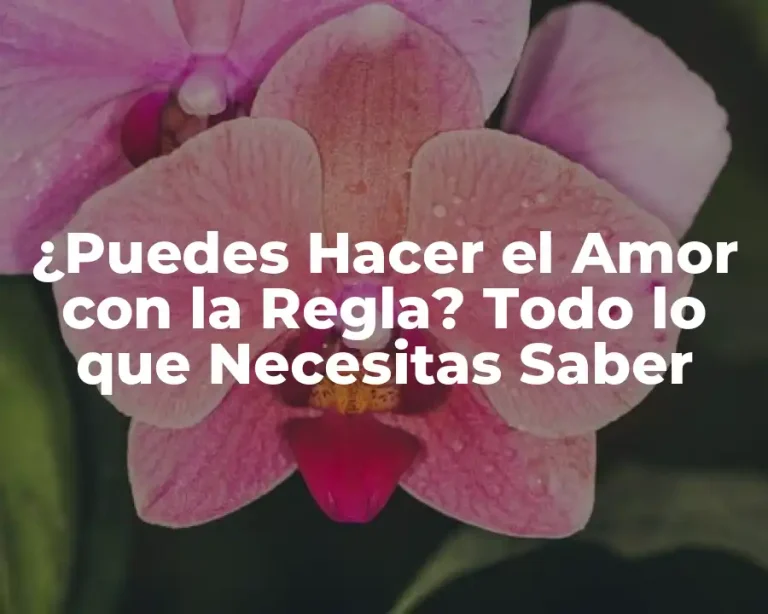 ¿Puedes Hacer el Amor con la Regla? Todo lo que Necesitas Saber