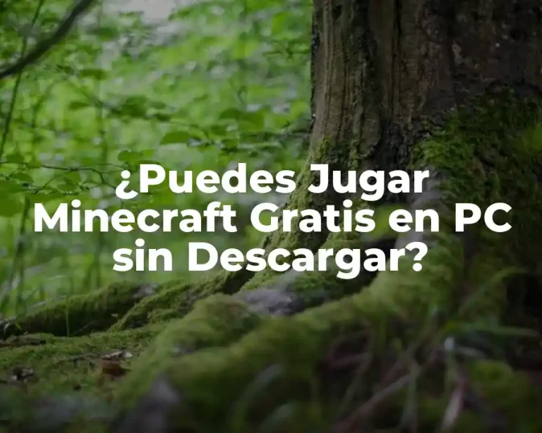¿Puedes Jugar Minecraft Gratis en PC sin Descargar?