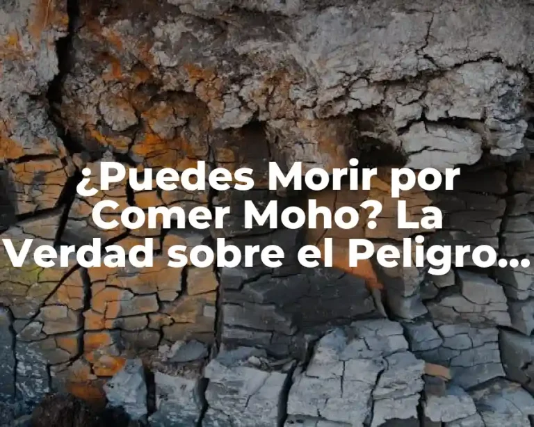 ¿Puedes Morir por Comer Moho? La Verdad sobre el Peligro del Moho en los Alimentos