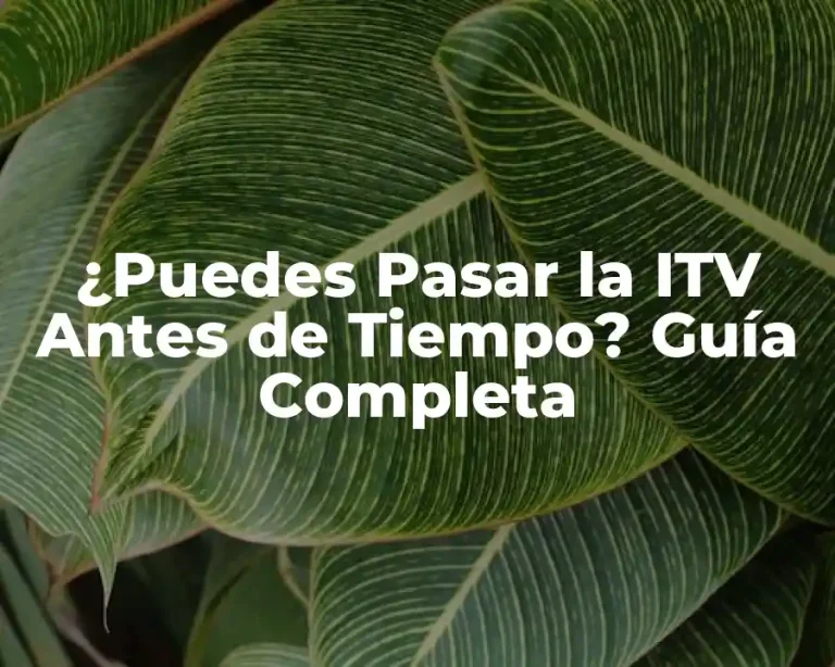 ¿Puedes Pasar la ITV Antes de Tiempo? Guía Completa