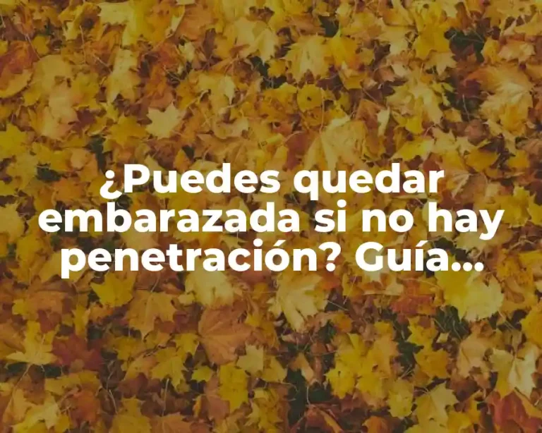 ¿Puedes quedar embarazada si no hay penetración? Guía completa