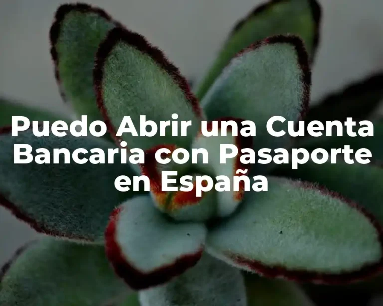Puedo Abrir una Cuenta Bancaria con Pasaporte en España