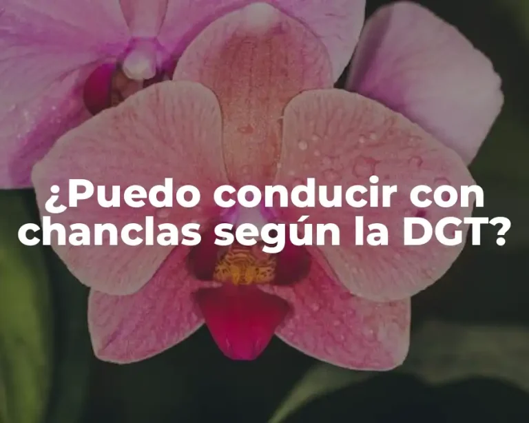 ¿Puedo conducir con chanclas según la DGT?